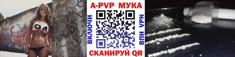 A PVP СК КРИС Нижнекамск