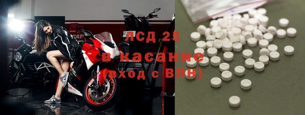 амф Новодвинск