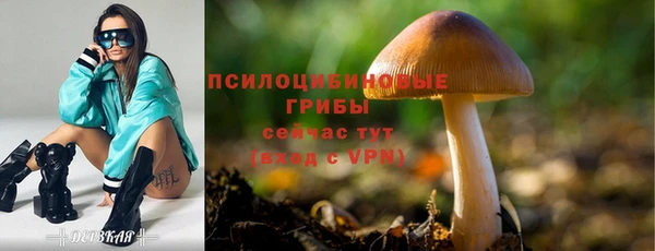 бутират Кукмор