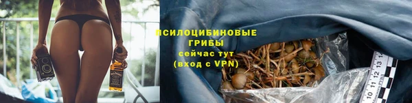 прущий лед Куйбышев
