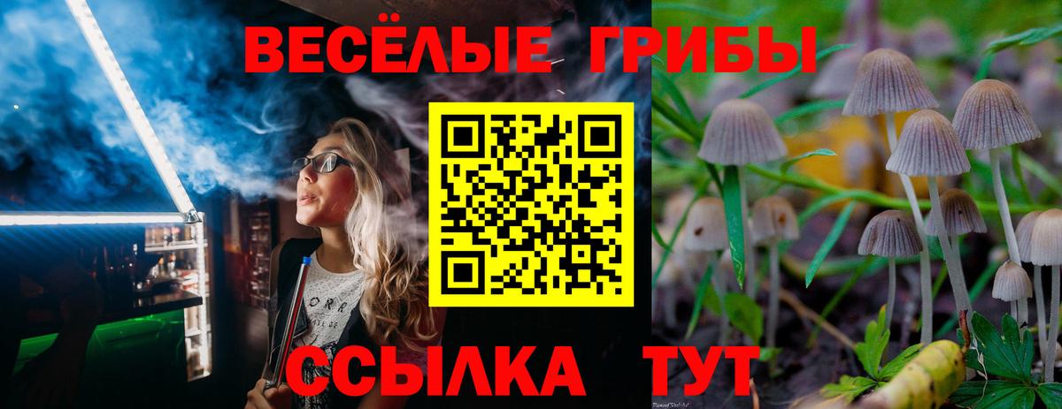 Галлюциногенные грибы Cubensis  Вход с VPN  как найти закладки  Нижнекамск 